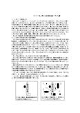 【こども学】こどもの柔軟な発想を科学せよ。