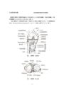 《膝靱帯損傷》