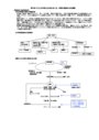 小児疾患レポート　(呼吸器系、消化器系、痙攣、てんかん)